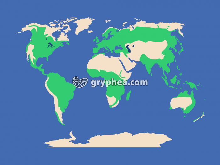 Les forêts mondiales - gryphea.org